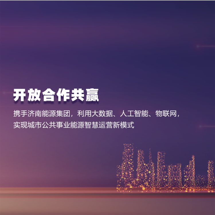 山東和同信息科技股份有限公司